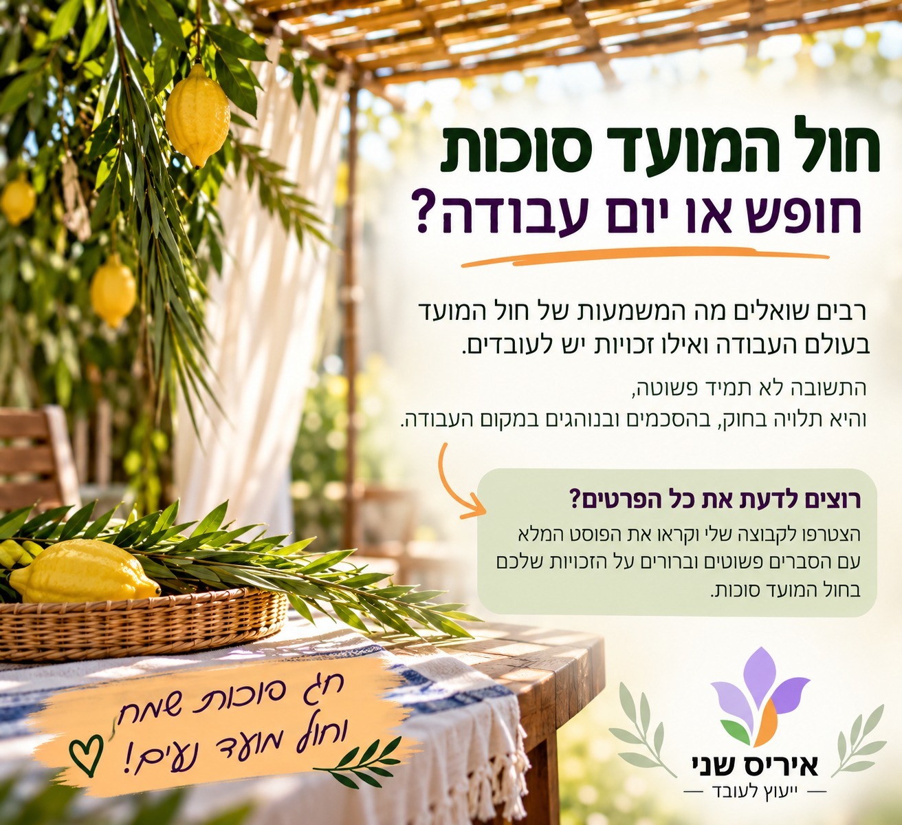 תמונה ראשית עבור הפוסט: חול המועד - חופש או יום עבודה?